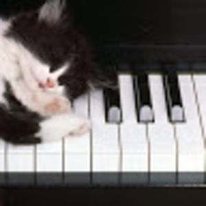 Meet your Posher, Marie